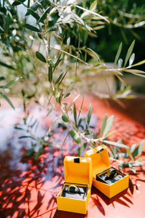 Two yellow boxes with wedding rings on an olive tree background.の写真素材