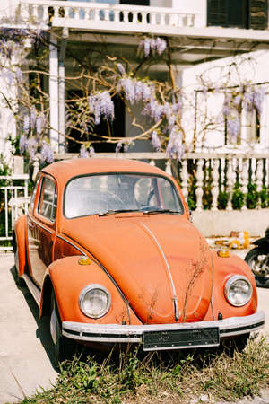 Zabljak, Montenegro - 23 july 2020: Red retro car Volkswagen Kafer - Beetle - a passenger car...