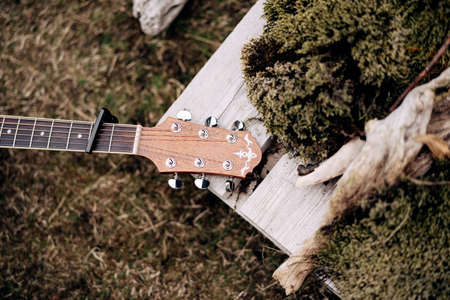 Guitar fretboard and headstock on green grass in nature.の写真素材