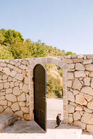 A gray cat sits at the exit from the yard with an open gate in a high stone fence.の写真素材