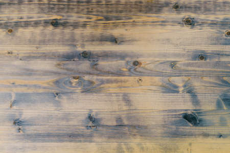 Texture of a wooden surface with annual rings and twigs.の写真素材