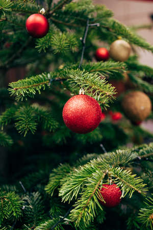 Red Christmas ball in sparkles on fir branches.の写真素材
