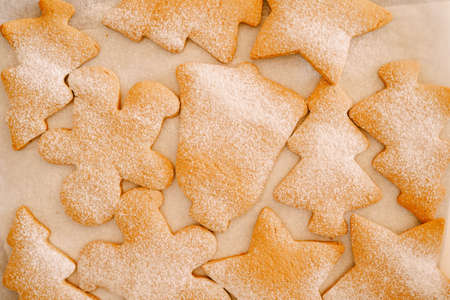 Close-up of gingerbread cookies sprinkled with powdered sugar.