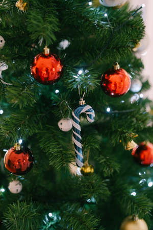Blue candy cane toy on a Christmas tree branch.の写真素材