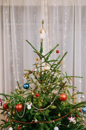 A close-up of the top of a living Christmas tree decorated with holiday decorations.の写真素材