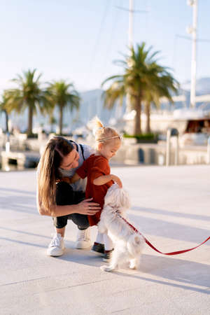 Woman and her toddler are petting a small white dog on a boat pier