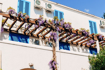 An arch-shaped wooden crossbar with winding wisteria near a house with blue shutters.の写真素材