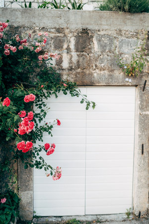 A bush of pink roses against a stone wall with an entrance with white doors.の写真素材