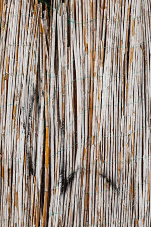 Vertical wall texture of white painted bamboo.の写真素材