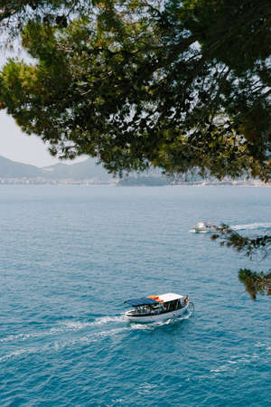 A pleasure boat and a white yacht sail towards the shore with large trees.の写真素材