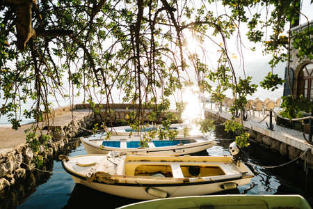 Marina for fishing boats under the tree branches near the house.の写真素材