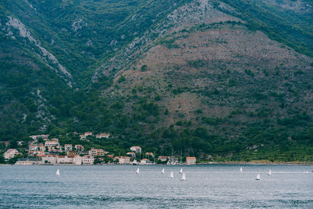 Small sailboats in the Bay of Kotor, against the background of the mountain, participate in the regatta.の写真素材
