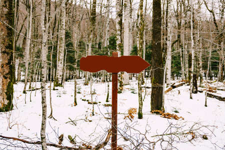 Road sign with an empty field stands in a coniferous-deciduous forest among the snowの写真素材