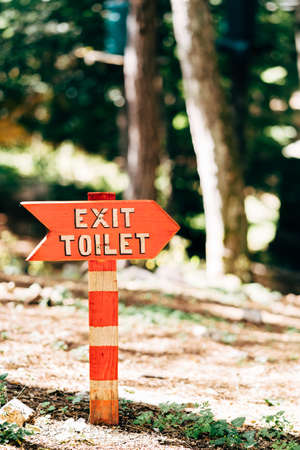 Red signpost with an inscription on a white striped column stands on the lawn in the forest. Title:...