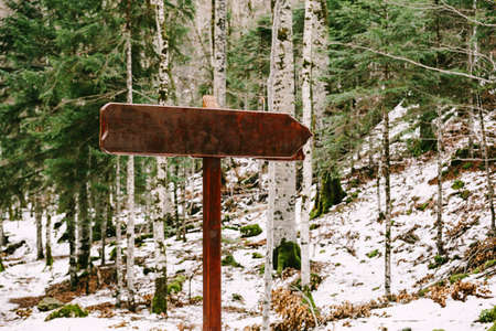 Wooden signpost with an empty field stands on a hill among a coniferous-deciduous forest in winter