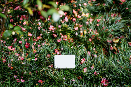 Small blank sign stands on a blooming green lawn