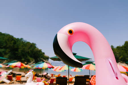 Inflatable pink flamingo on the royal beach in Przno against the background of green treesの写真素材