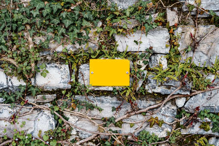 Blank yellow plaque hangs on a stone wall entwined with green ivyの写真素材