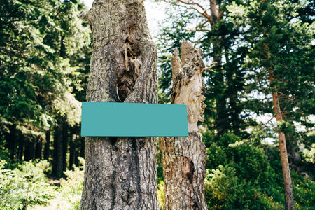 Blank green sign on a tree in the middle of the forest