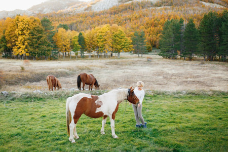 Woman feeds a brown and white horse in the autumn forest. Brown horses graze on the lawnの写真素材