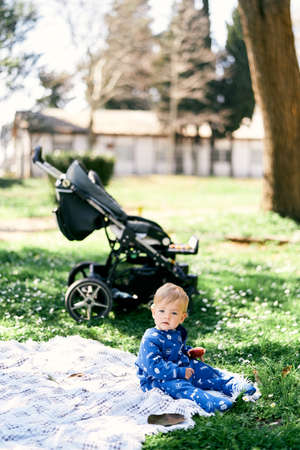Small child in a blue overalls sits on a blanket on the lawn and holds an apple in his hand against the background of a stroller and a treeの写真素材