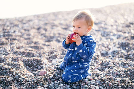 Serious kid in blue overalls sits on his knees on a pebble beach and gnaws an apple, holding it with...