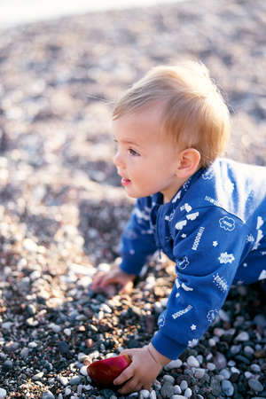 Funny kid in a blue blouse is crawling along a pebble beach, putting one hand on an apple and...