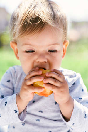 Cute baby gnaws a yellow peach, holding it with his hands. Close-up. Portraitの写真素材