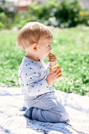 Cute baby sits on a blanket and gnaws a yellow peach, holding it with his hands. Side viewの写真素材