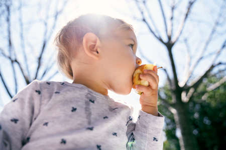 Cute baby gnaws a yellow peach, holding it with his hand against the background of trees. Low angleの写真素材