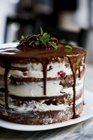 Chocolate brownie cake with cherries and mint leaves. Close upの写真素材
