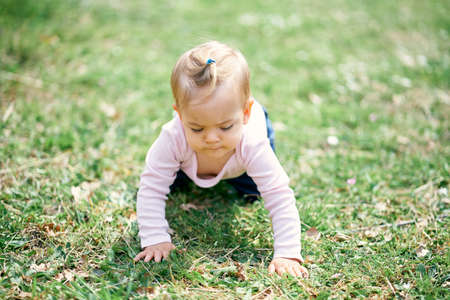 Little cute girl crawling on a green meadowの写真素材