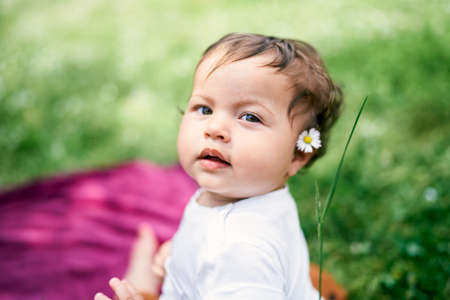 Little girl with a chamomile behind her ear sits on the lawn with her head turnedの写真素材