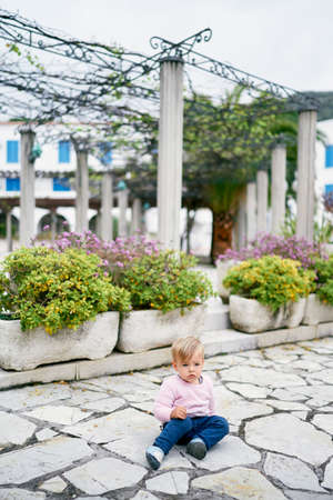 Little girl sits on paving slabs near flowerpots with green bushesの写真素材
