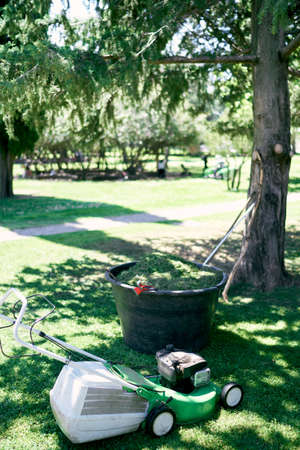Lawn mower stands near a large bowl with cut grass in a park