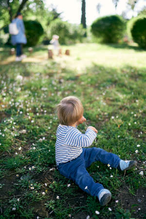 Kid sits on a flower meadow with a stick in his hand, turning backの写真素材