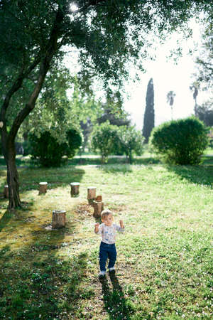 Kid walks through the clearing against the background of stumps and a treeの写真素材