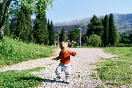 Kid walks along the path among the trees against the background of mountainsの写真素材