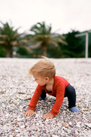Little child squats on a pebble beach against a background of palm trees