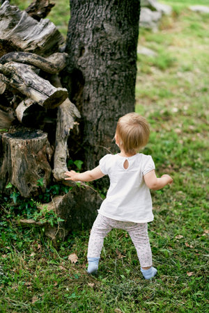 Kid stands by a pile of stumps on a green lawnの写真素材