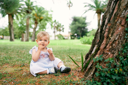 Little girl sits on the ground near a big spruce tree in the parkの写真素材