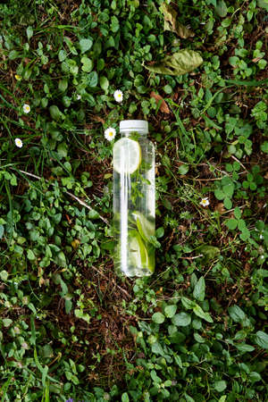 Bottle of water lies on the green grass among the daisiesの写真素材