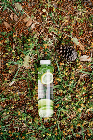 Bottle of water with slices of lemon and lime inside lies on the ground near a spruce coneの写真素材