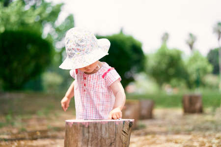 Little girl in a hat runs her finger over a tree stumpの写真素材