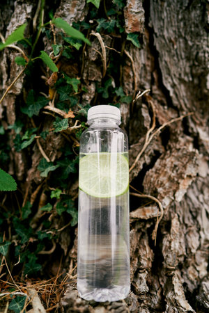 Water bottle with a slice of lemon stands near a tree trunkの写真素材