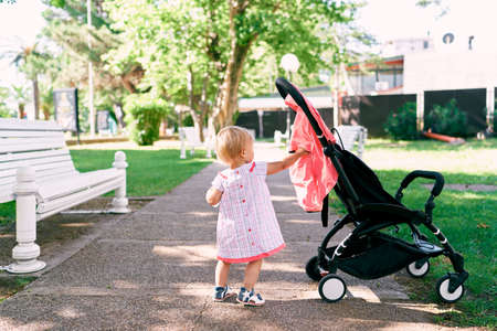 Little girl touches stroller while standing on the path in the park. Back viewの写真素材