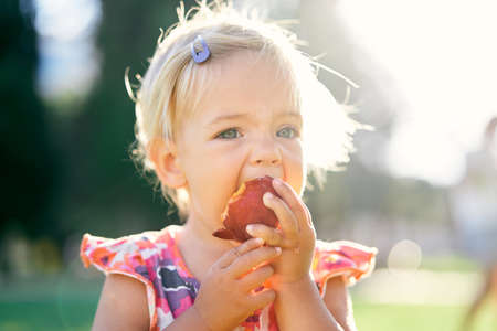 Little girl eats a peach on a green lawn holding it by hands. Portraitの写真素材