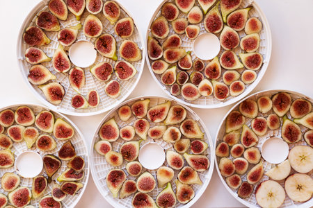 Fruit drying process on plates. Top viewの写真素材