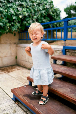 Little crying girl stands on the stairs in the parkの写真素材