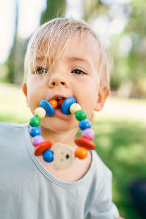 Little girl with a toy bracelet in her mouth on a green lawn. Portrait